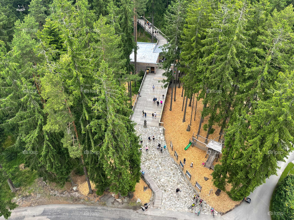 View of treetop walkway in Lipno, Czech Republic.