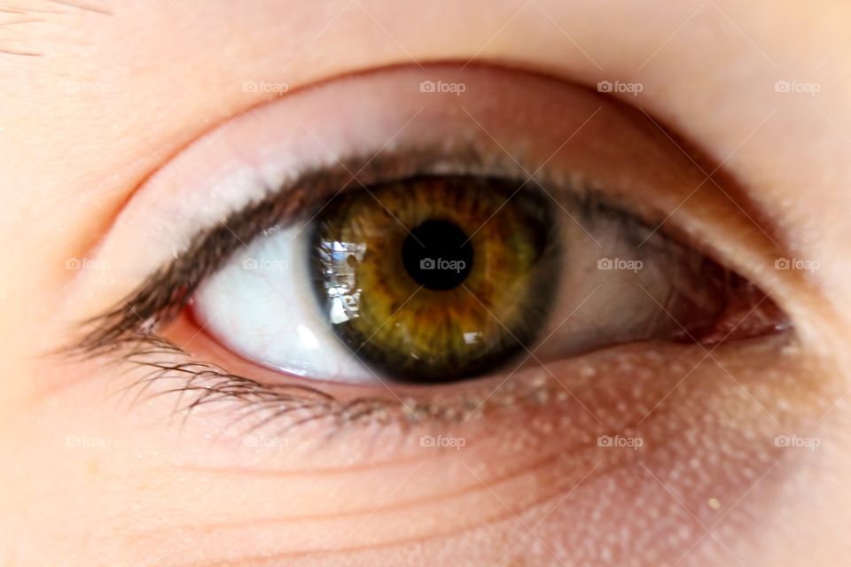 Macro shot of human eye