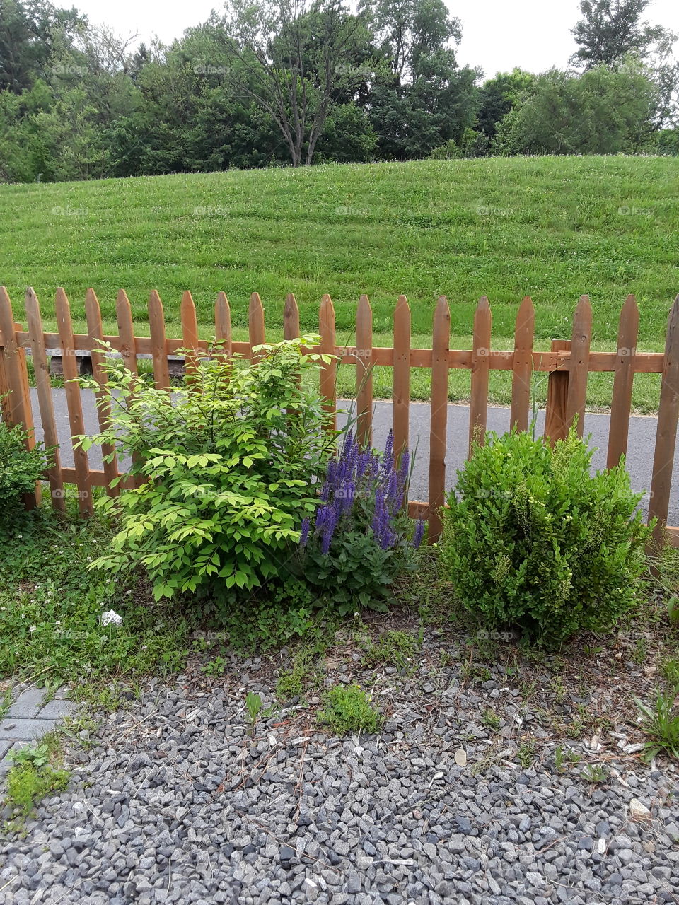 picket fence