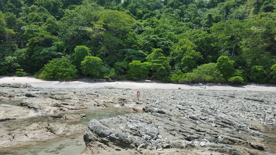 Beautiful rocky beach