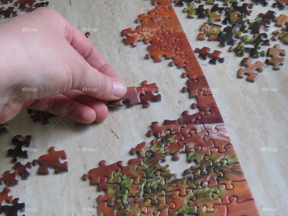 Working on a puzzle. 