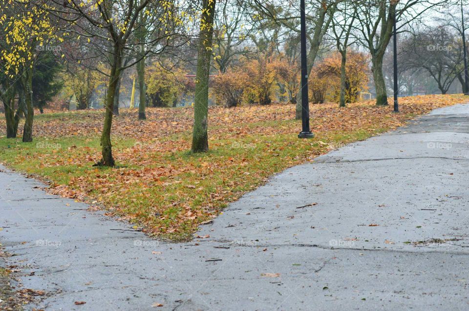 autumn alley