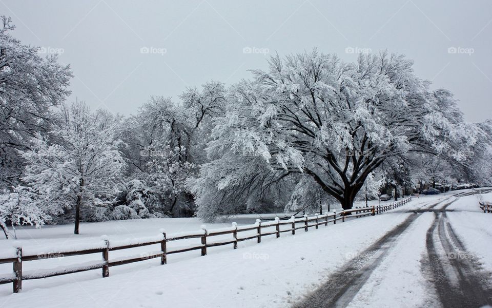 View of snowy road