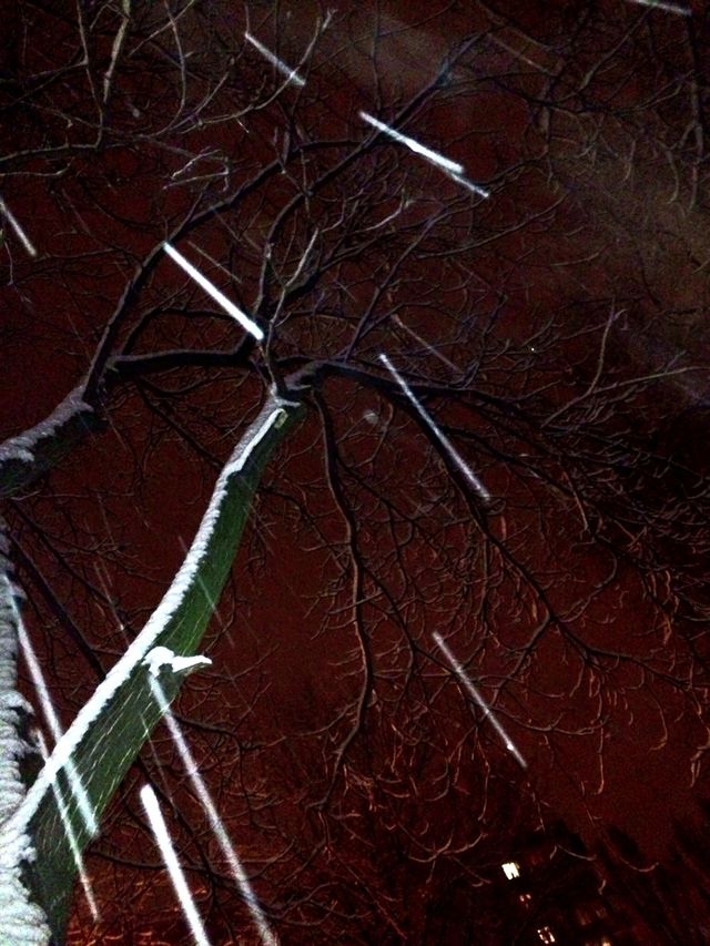 Snowstorm