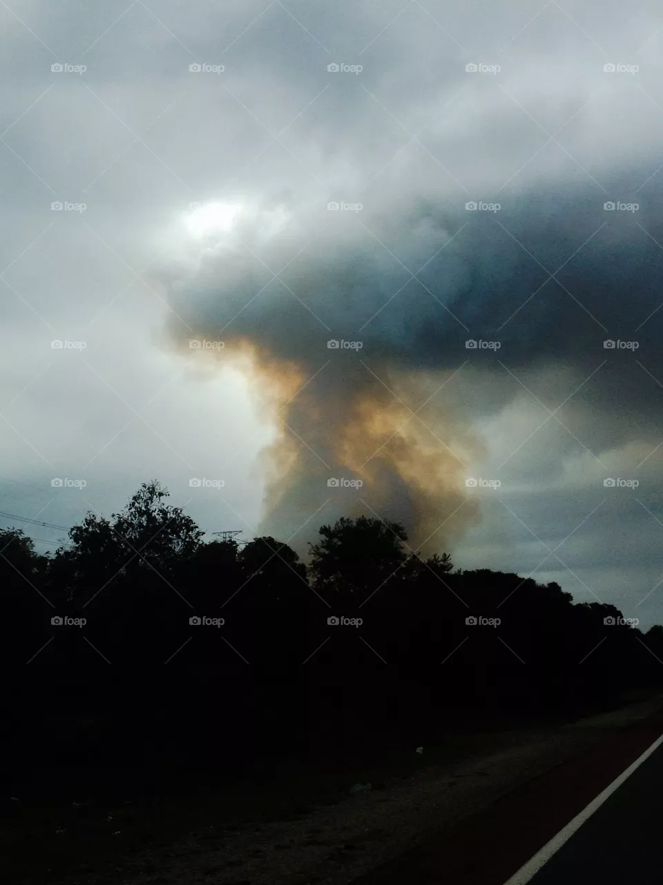Bush fire