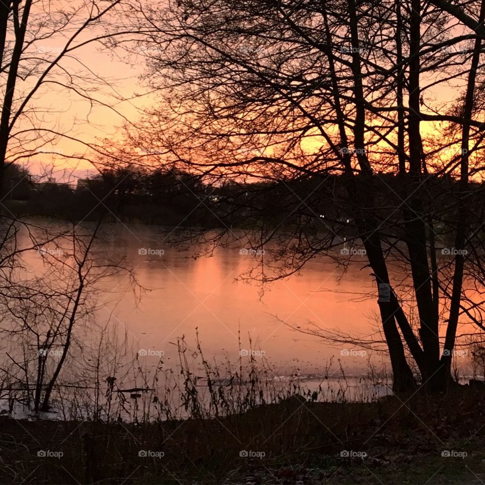 Sunset reflection and tree with lake