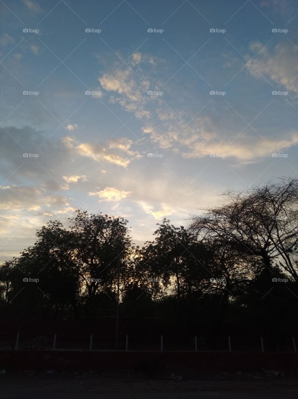 a shiney day white clouds whites cloud scattered dark tree blue sky