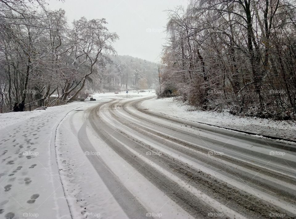 Winter, Snow, Road, Cold, Frost