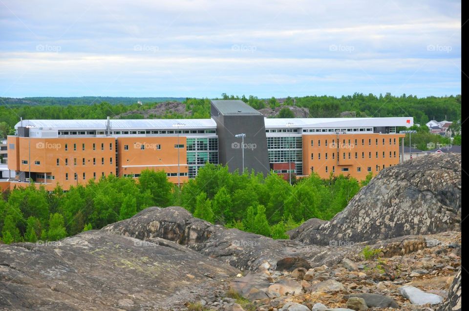 University building