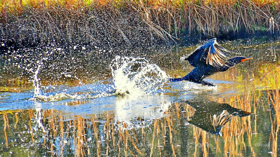 Water takeoff 