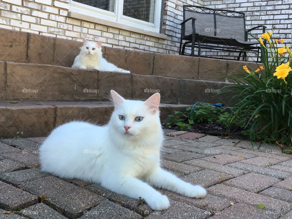 Patience is a virtue