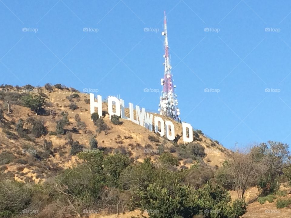 Hollywood sign