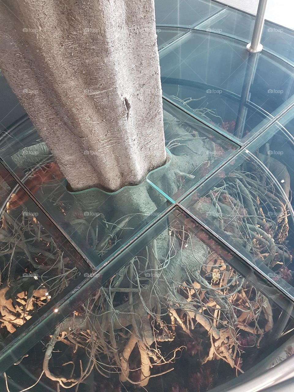 We all have our roots..where we come from...