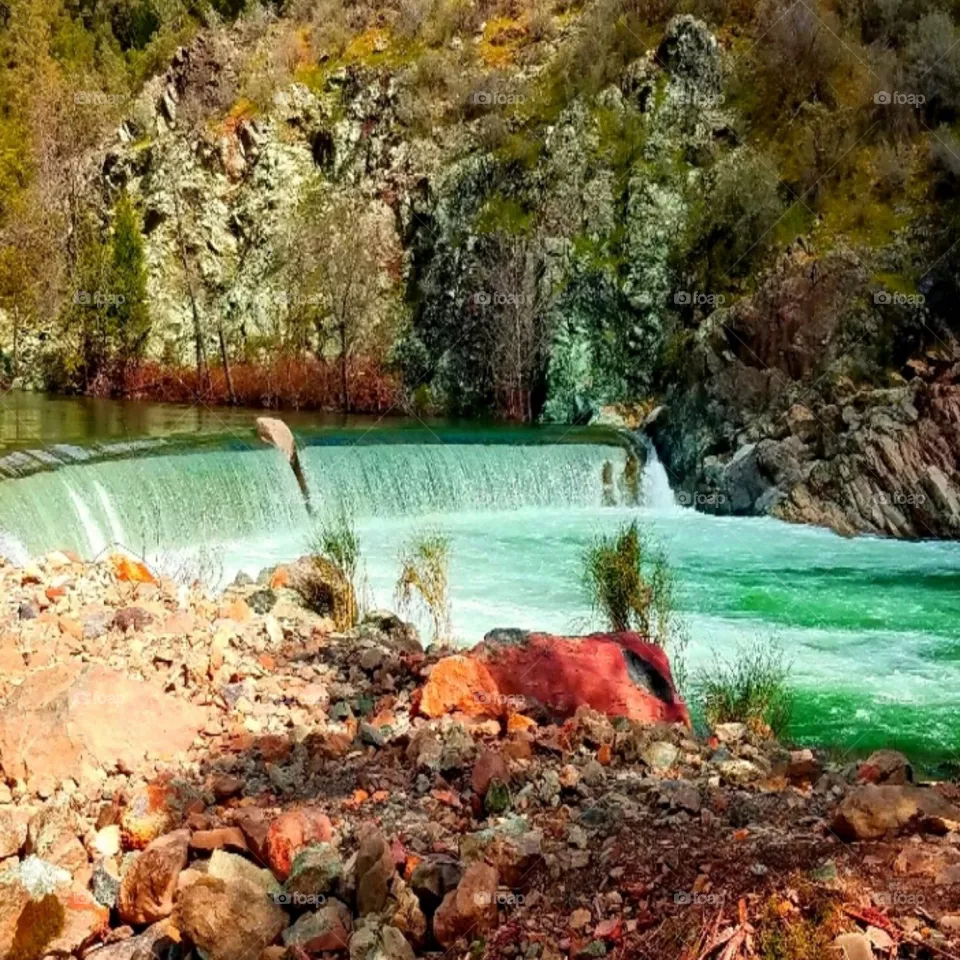 Head Dam