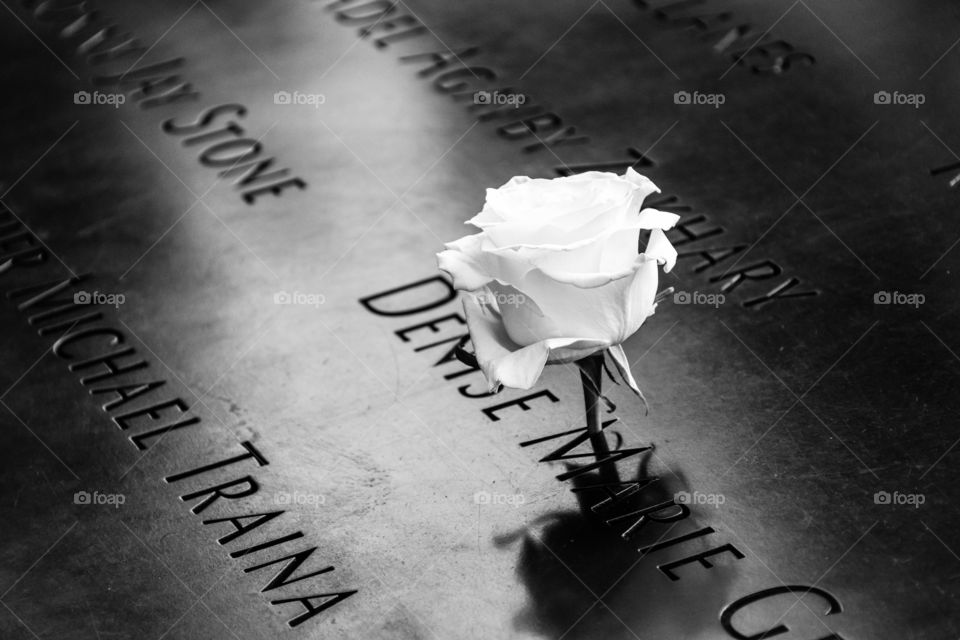 A whote rose at world trade centre memorial