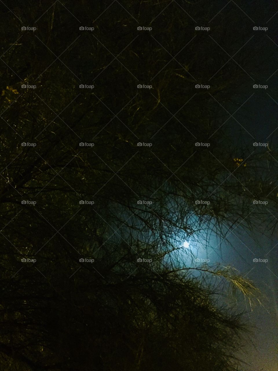 A cool night and a beautiful moon