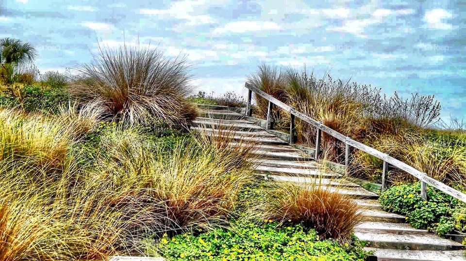 Wooden staircase on beach mound 