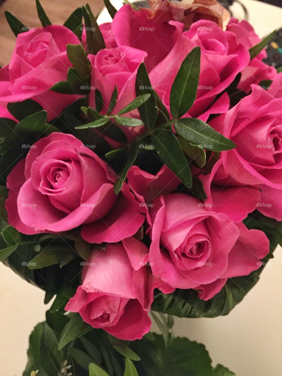 Pink Roses 