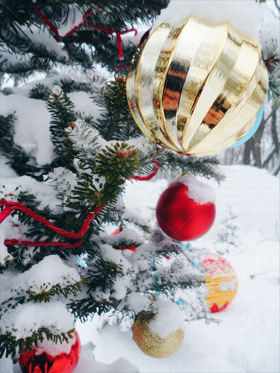 dressed Christmas tree toys in the park, Kiev