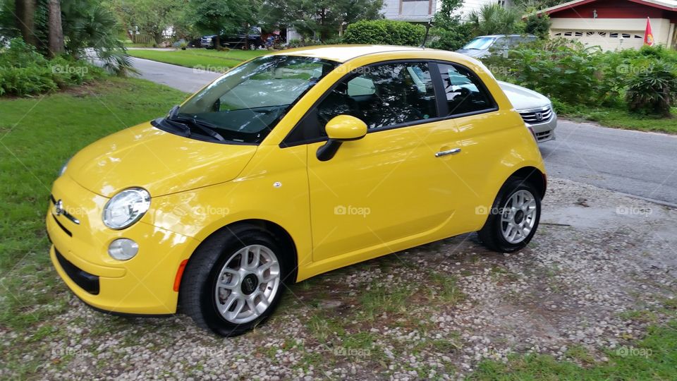 Yellow Fiat. The day I bought my Fiat! I named him Woodstock.