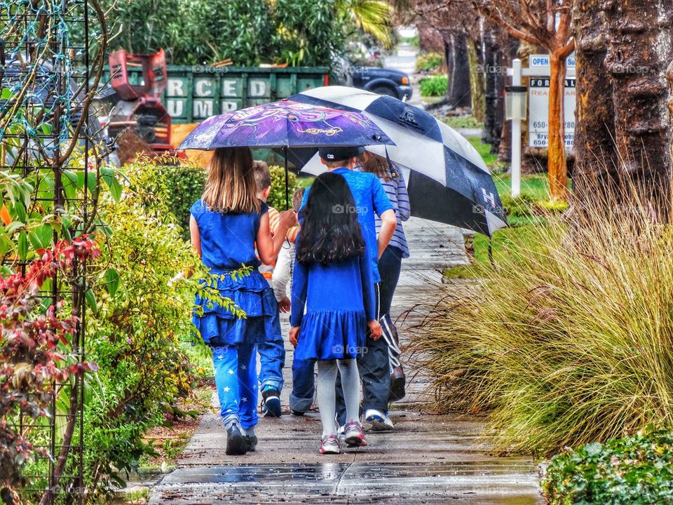 Children Walking Under Umbrellas In The Rain. Young Children Walking Under Colorful Umbrellas
