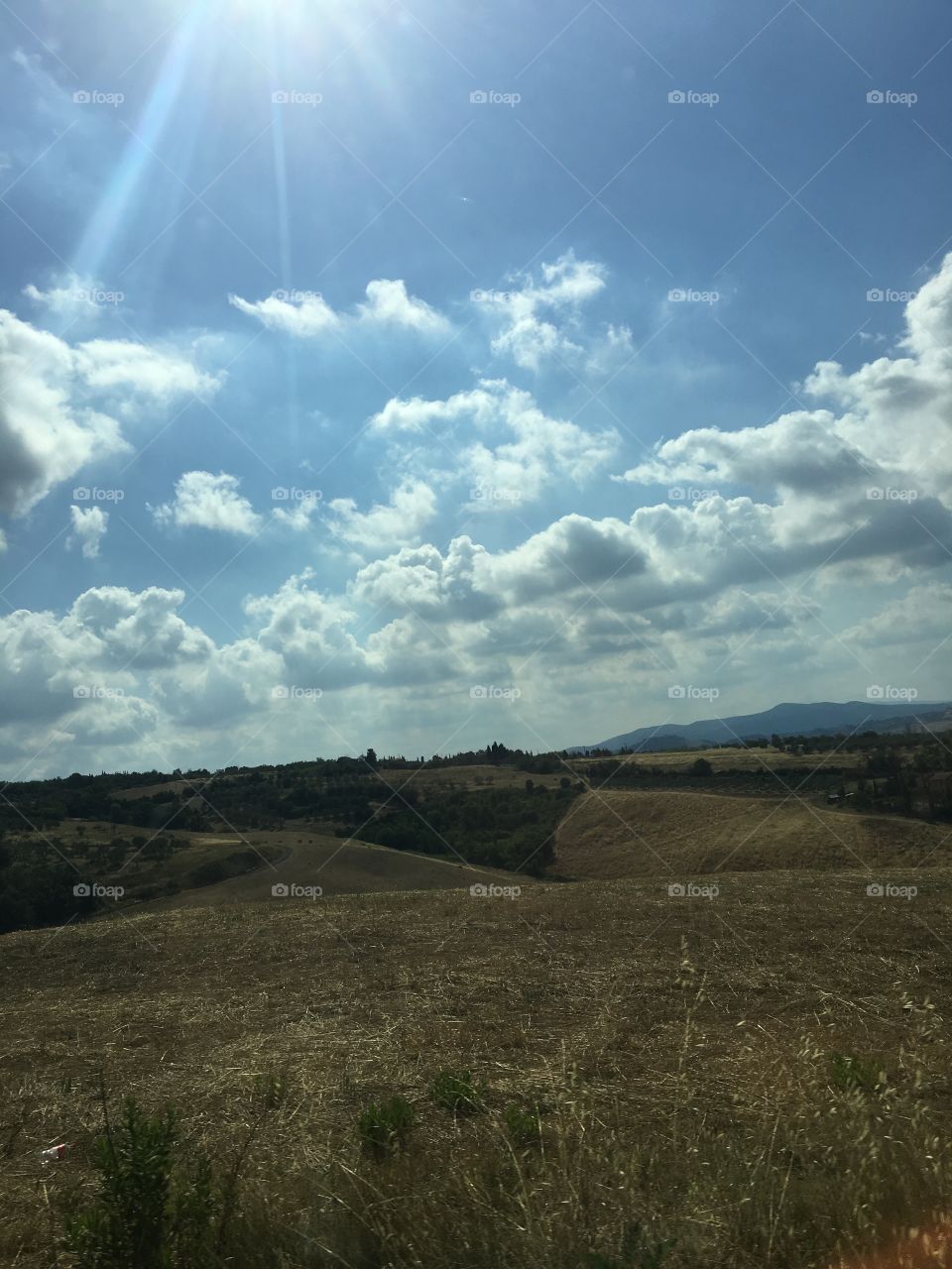 Gorgeus Toscana 