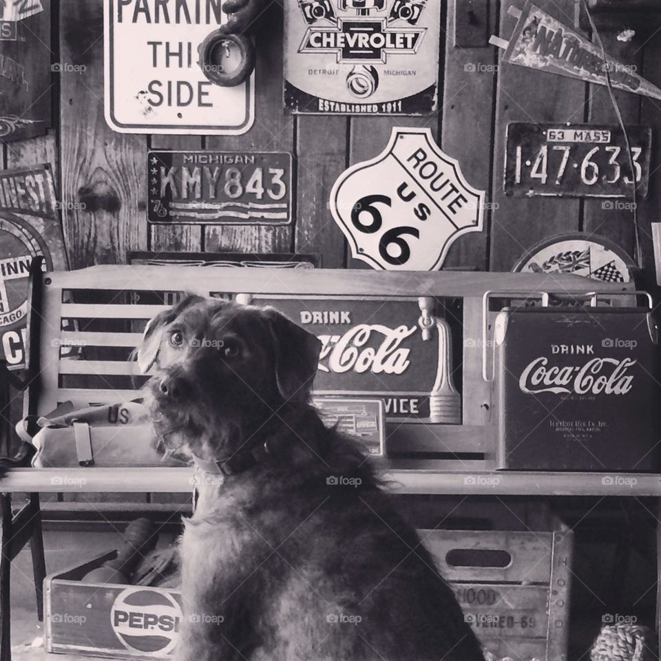 Franklin loves coca cola 