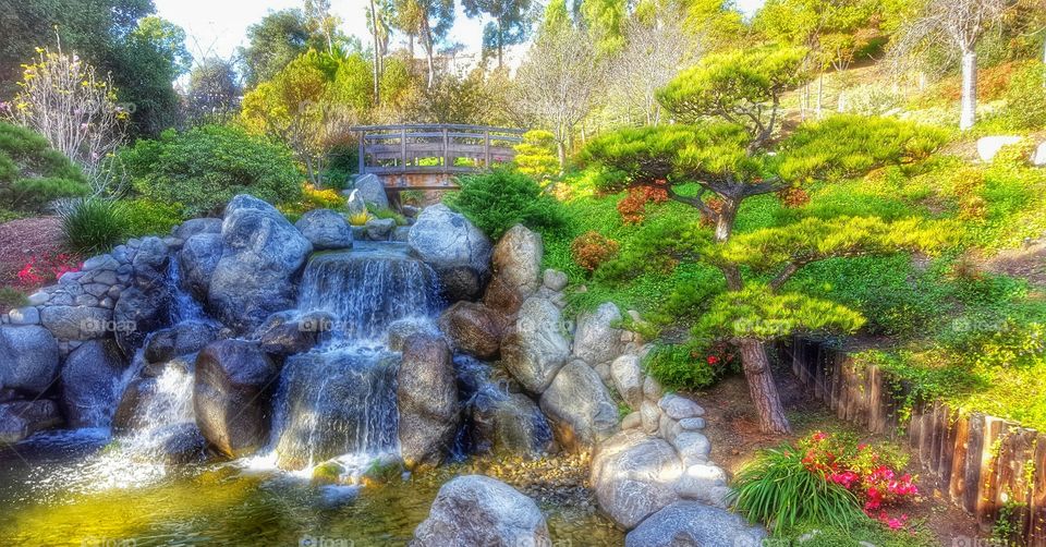 Japanese Friendship Garden, San Diego