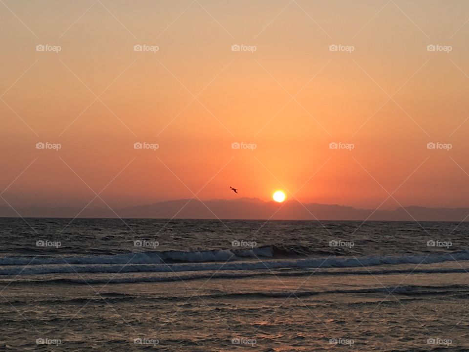 Sunrise & early bird 