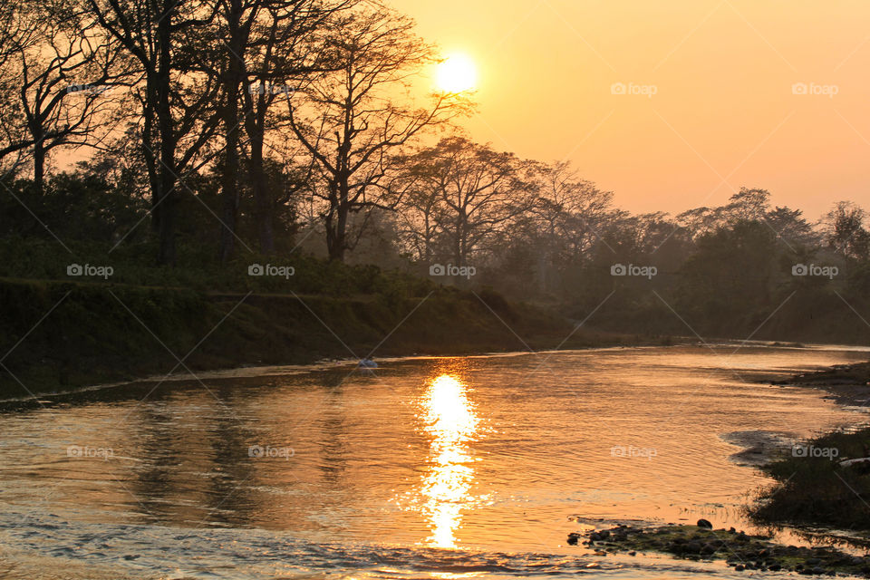 shadow of sun over river