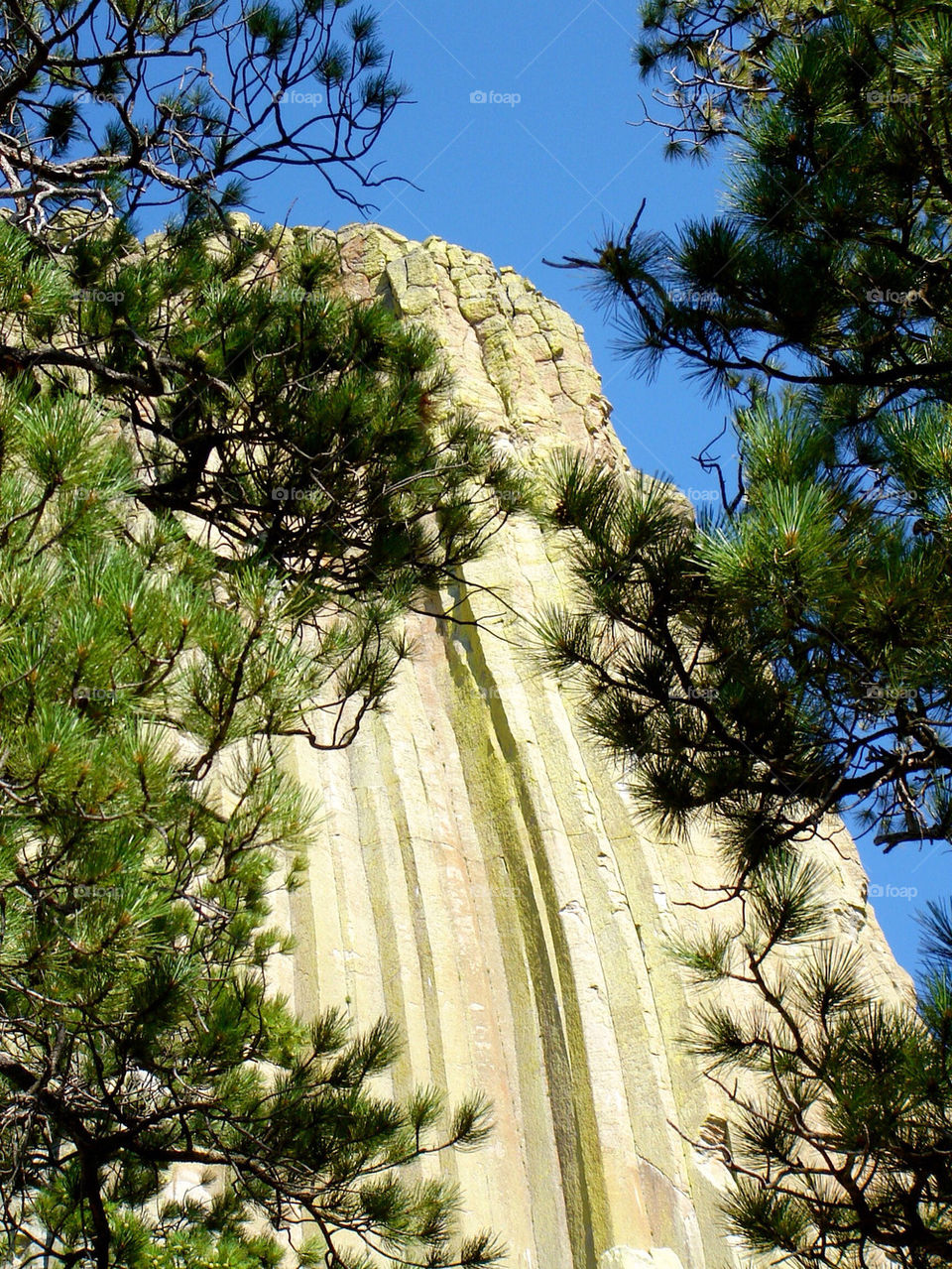 landmark tower devils wyoming by refocusphoto