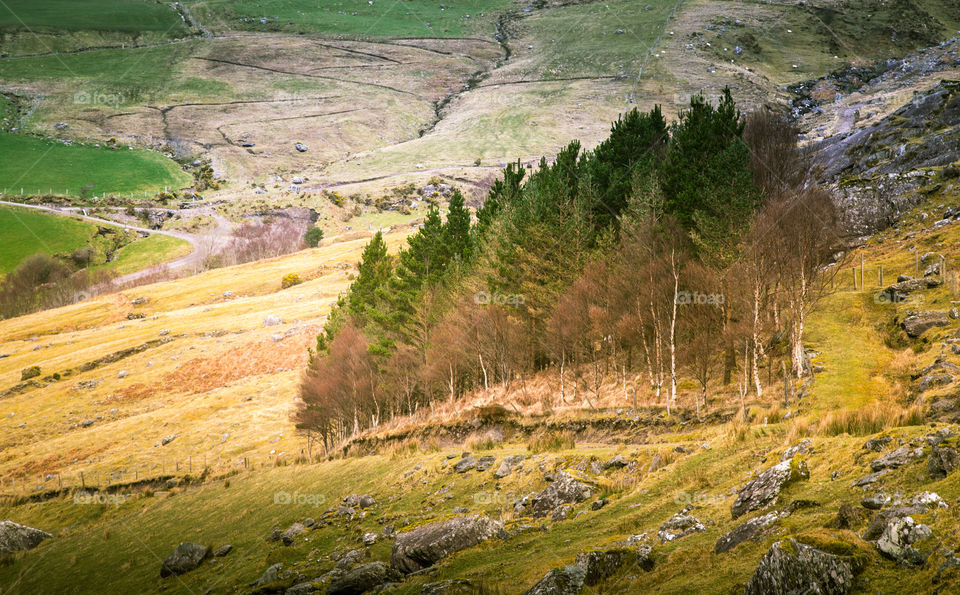 Landscape, No Person, Nature, Travel, Mountain