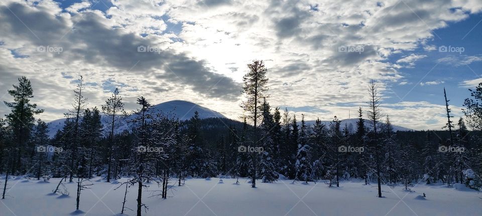 Finnish Lapland around Ylläs at its best in early March