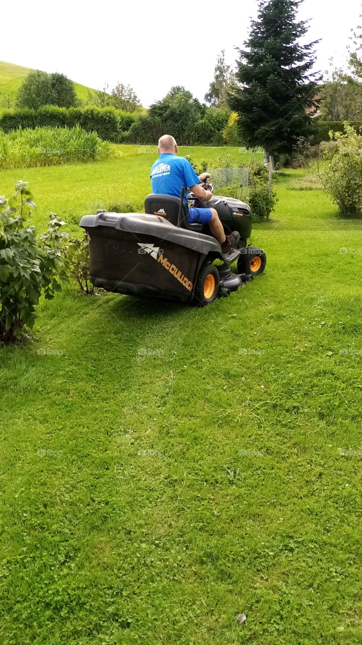 Rasen mähen, Deutschland