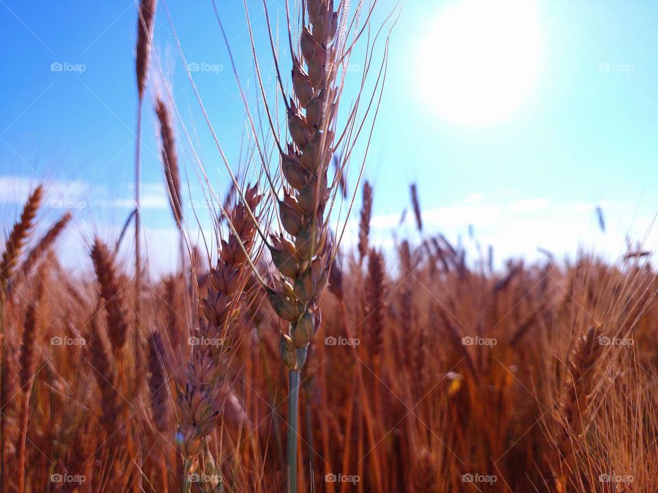 yellow blue🇺🇦❤️