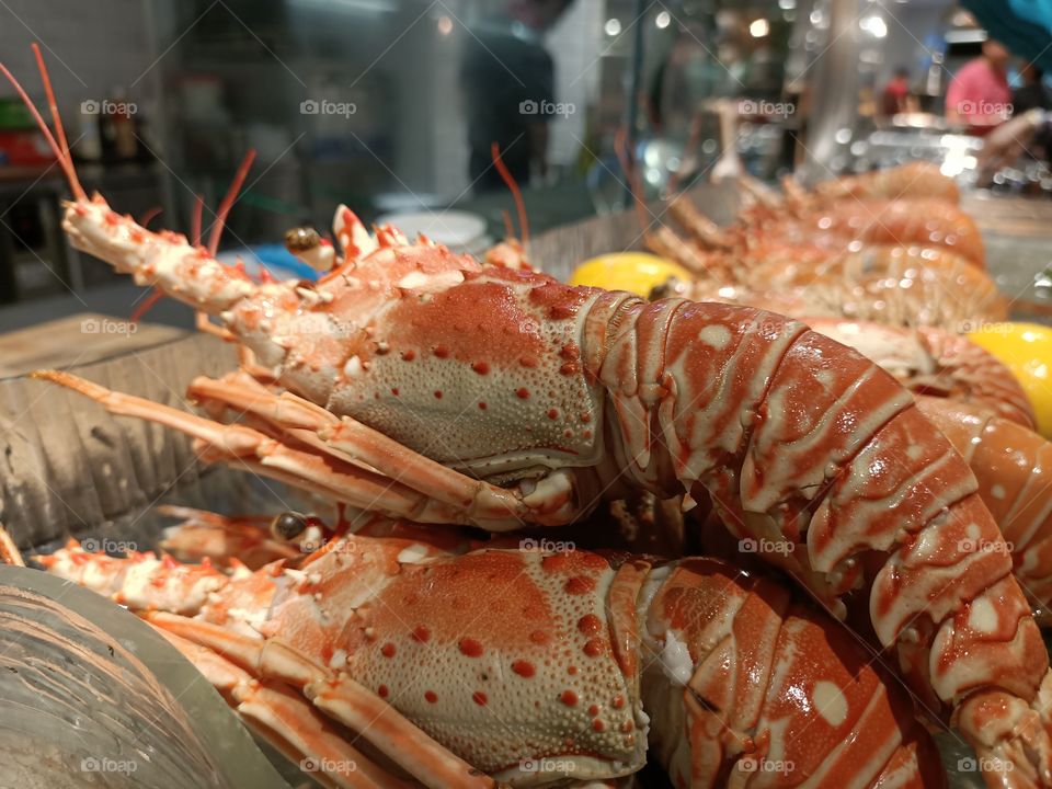 Two lobsters enough?