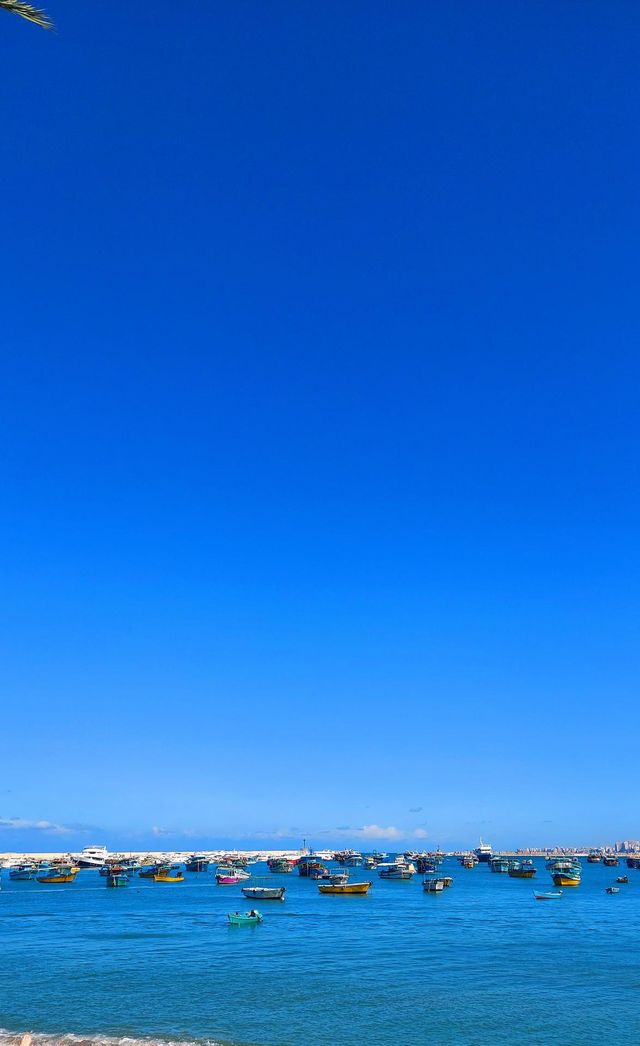 The summer
