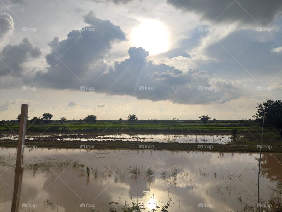 visiting countryside rice field on a sunny with clouds day