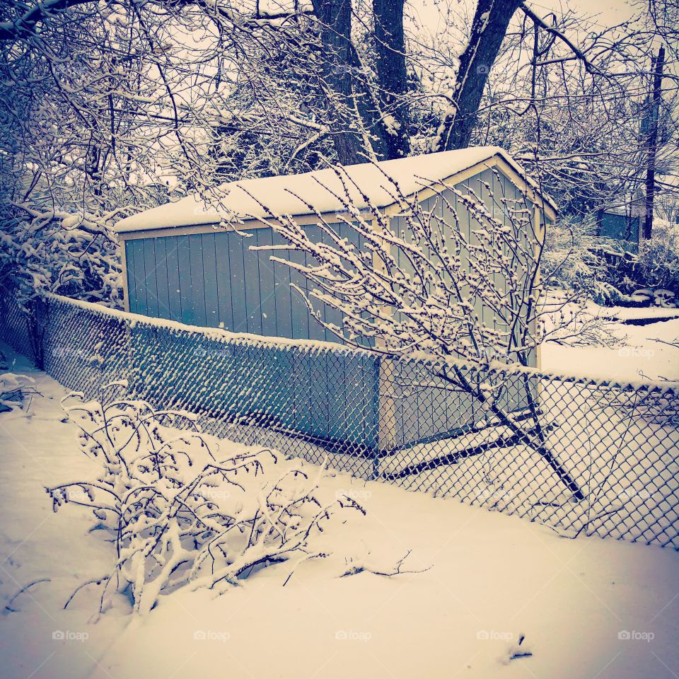 Backyard snowstorm 