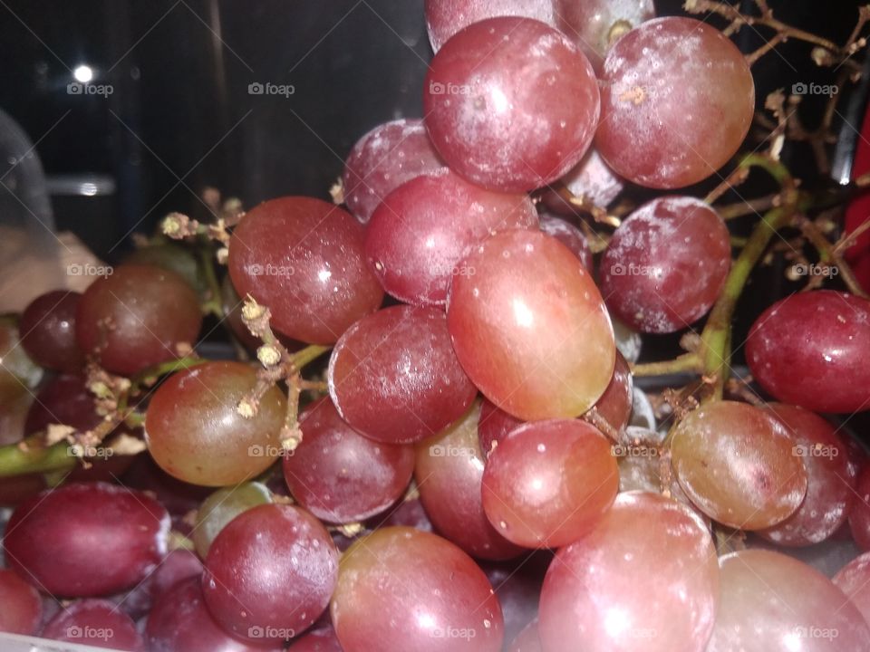 Bunch of grapes. Wine red cold grapes.