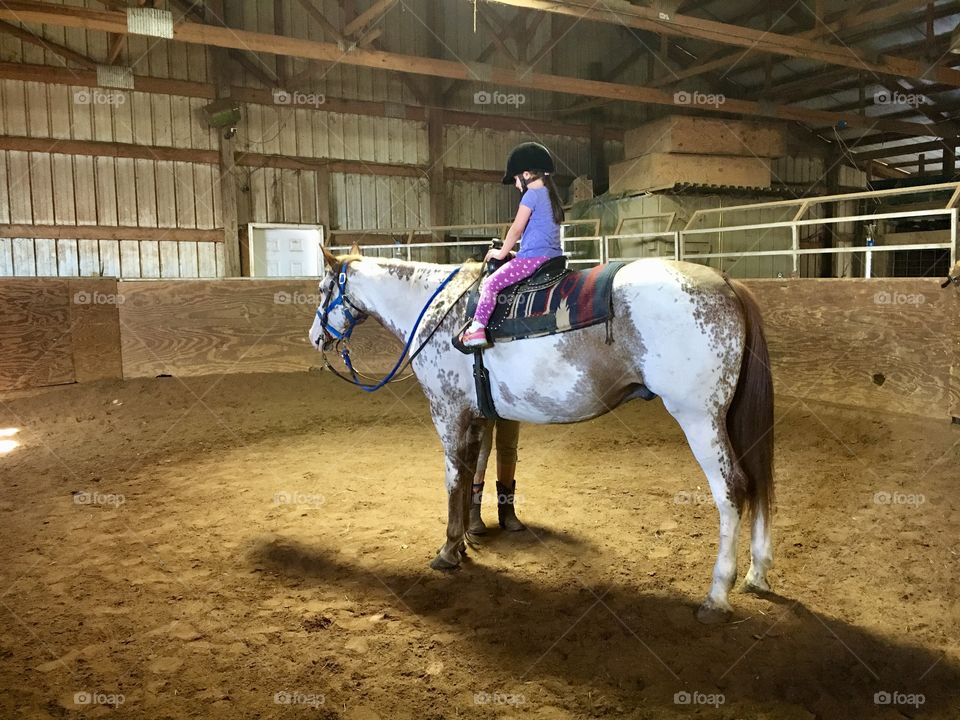 Toddler Girl Riding Horse Inside Barn Ring