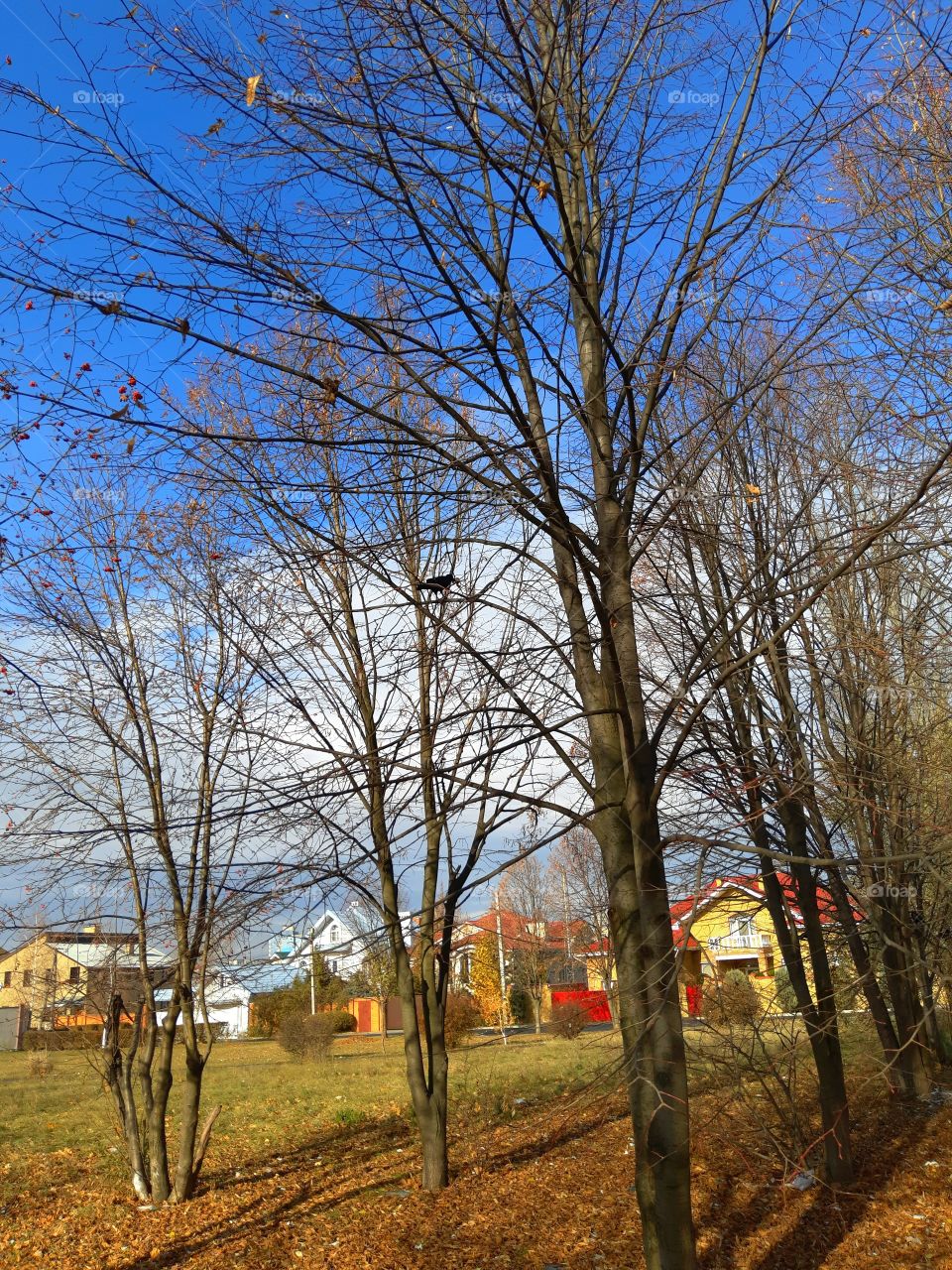 A sunny day in November