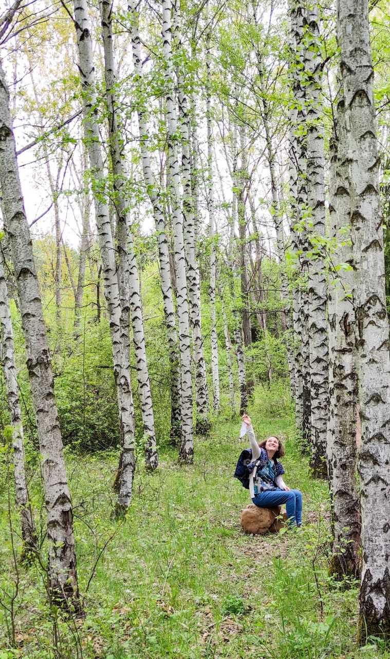 Enjoy forest silence