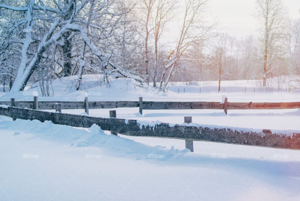 Winter scene