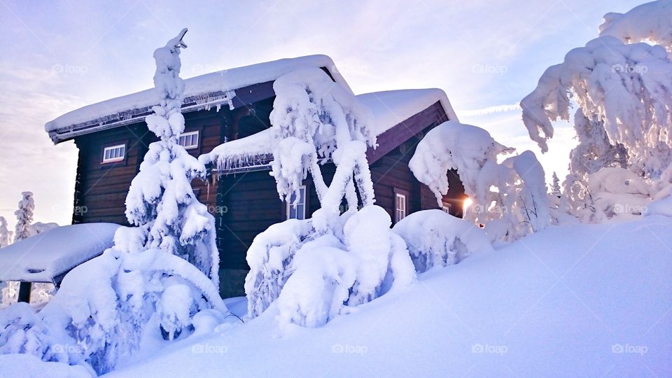 Snowy Mountains