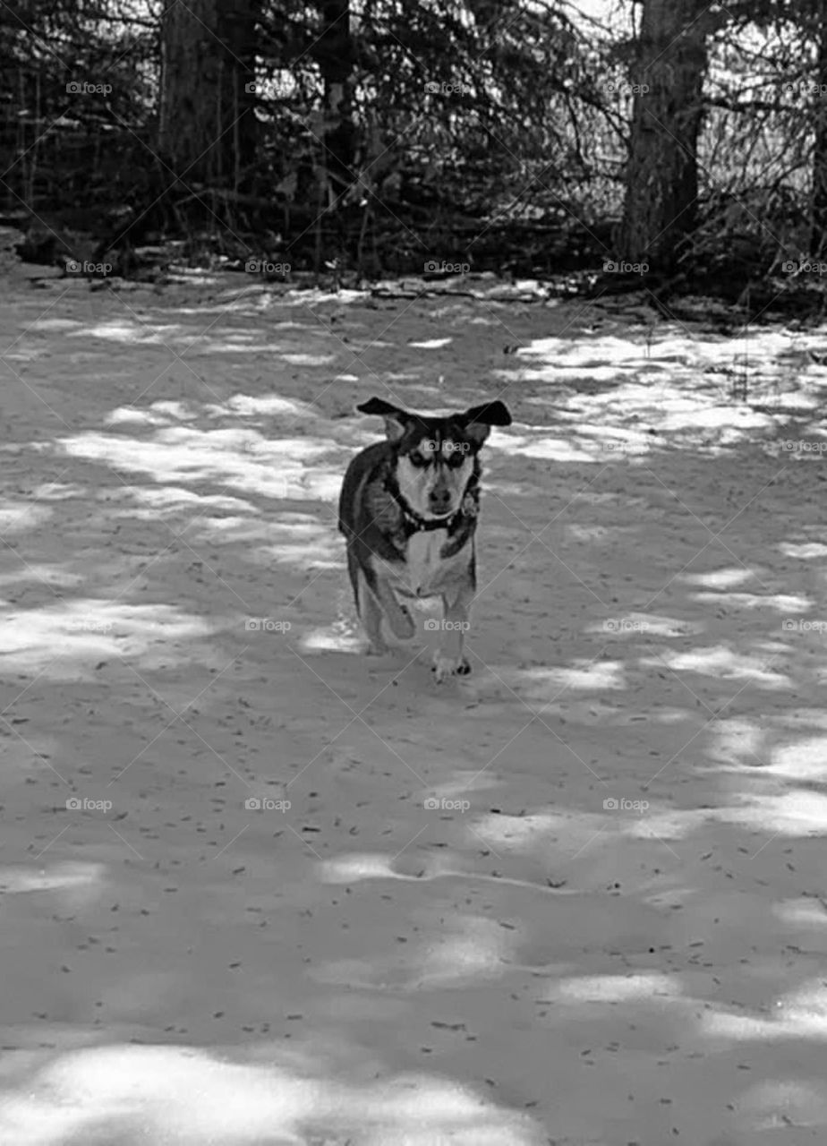 Running outside in the snow