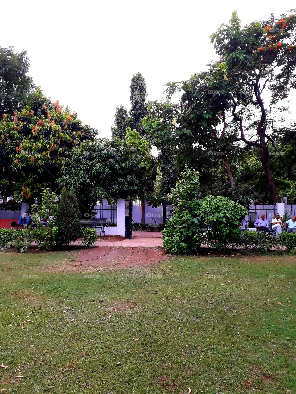 garden