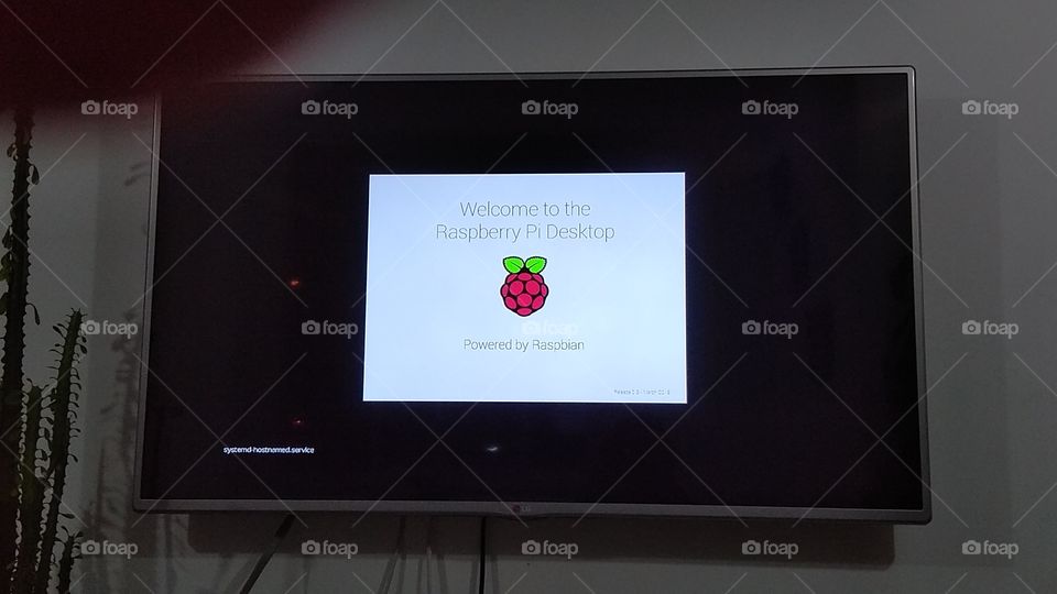 Raspberry interface