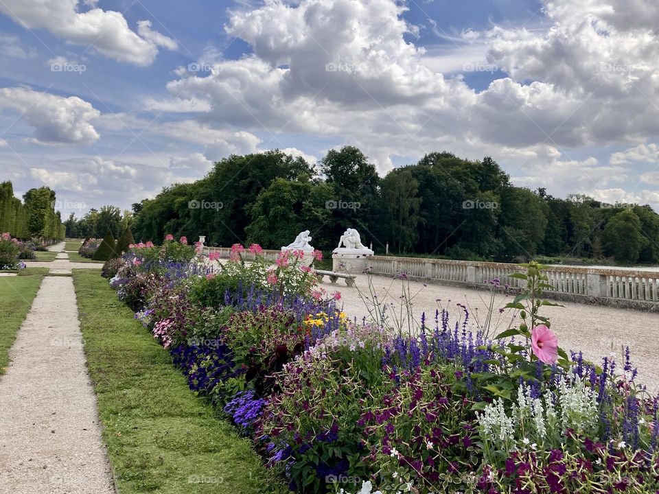 Flowers, alleys, trees and clouds