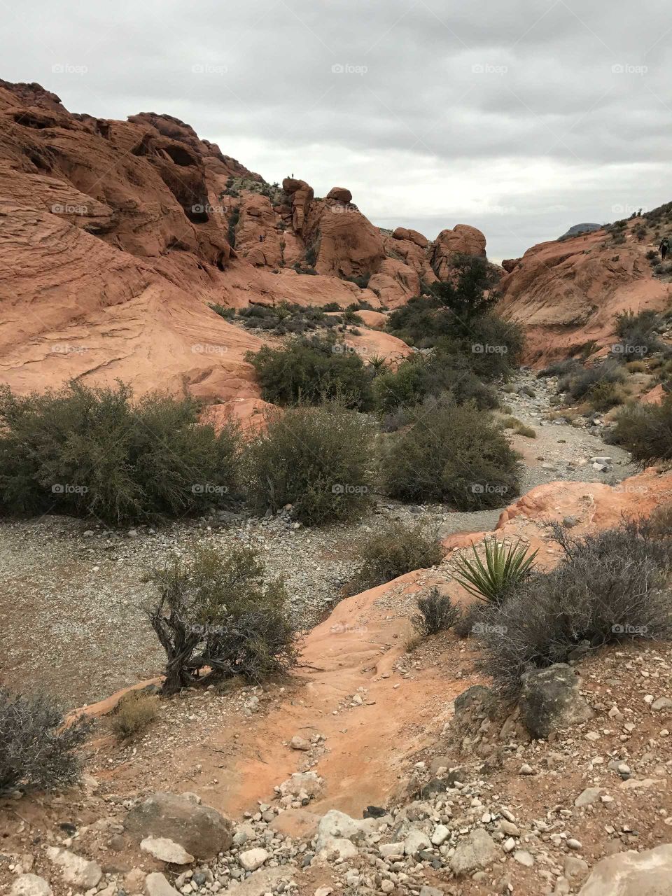 Red Rock